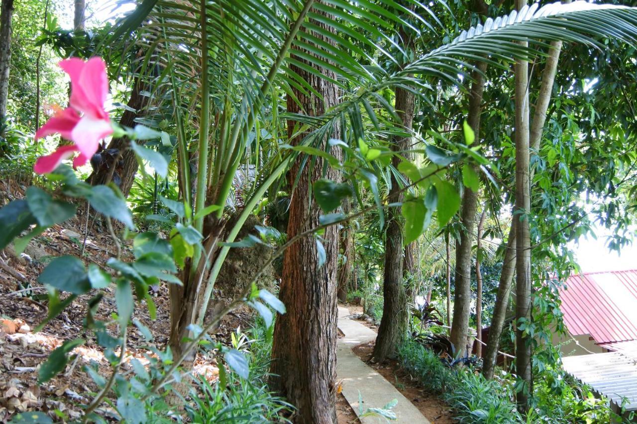 קו צ'אנג ראנונג Nice View Bungalow מראה חיצוני תמונה