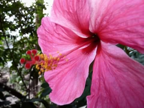 קו צ'אנג ראנונג Nice View Bungalow מראה חיצוני תמונה